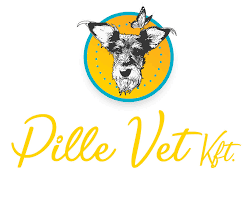 Pille Vet Állatorvosi Rendelő